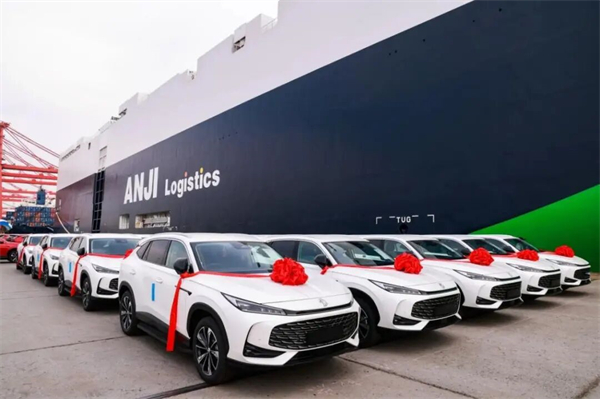 当技术开花、改革结果：上汽的“硬核反攻”