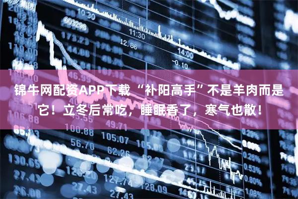 锦牛网配资APP下载 “补阳高手”不是羊肉而是它！立冬后常吃，睡眠香了，寒气也散！