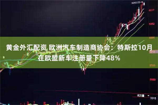 黄金外汇配资 欧洲汽车制造商协会：特斯拉10月在欧盟新车注册量下降48%
