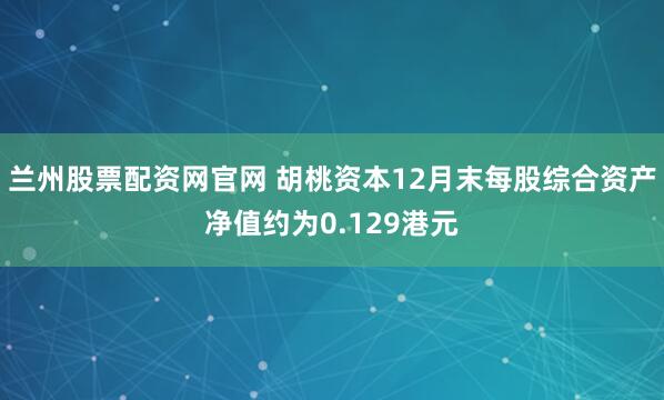 兰州股票配资网官网 胡桃资本12月末每股综合资产净值约为0.129港元