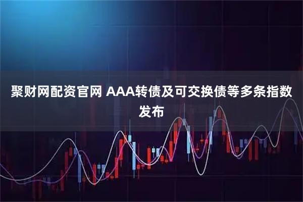 聚财网配资官网 AAA转债及可交换债等多条指数发布