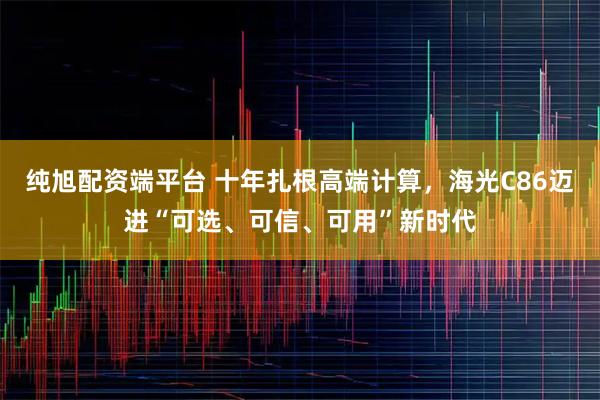 纯旭配资端平台 十年扎根高端计算，海光C86迈进“可选、可信、可用”新时代